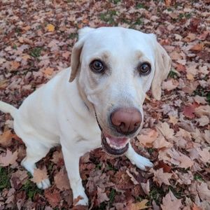 Meet your Posher, Erik